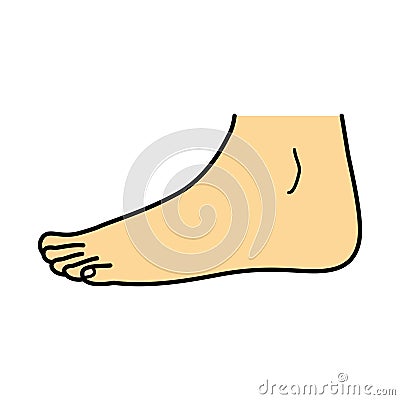 Bare foot, side view, illustration Cartoon Illustration